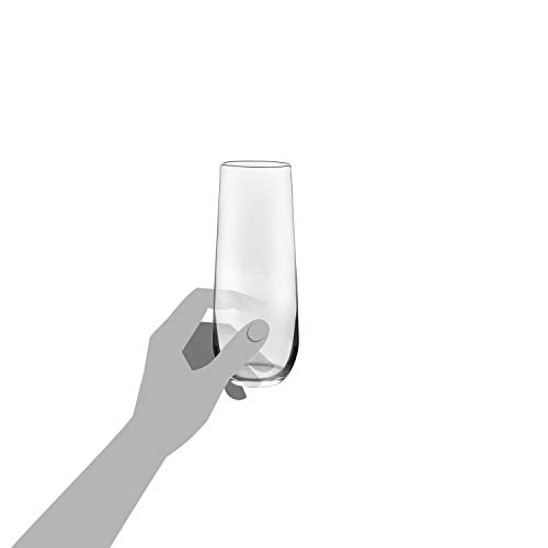 Libbey Standard Packaging / 1 / Modern Champagne Glasses