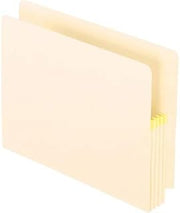 ESS12832 - Pendaflex Convertible File
