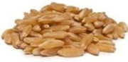 Bulk Grains 100% Organic Kamut Berries - Single Bulk Item - 25LB