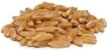 Bulk Grains 100% Organic Kamut Berries - Single Bulk Item - 25LB