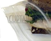 Elkay LDPE Flip-Top Sandwich Bags, 7" x 7", Clear, Pack Of 1,000 Bags