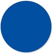 DayMark - 112333 - DuraMark 1 in Round Blue Label