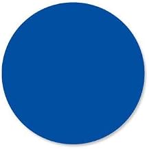 DayMark - 112333 - DuraMark 1 in Round Blue Label