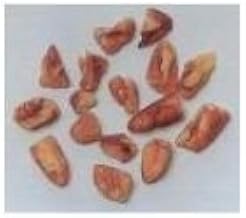 Pecans SunflowerKernals Medium Piece Fancy Pecan, 30 Pound -- 1 each.