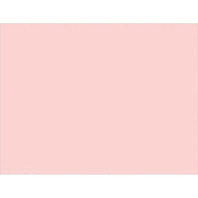 Peace of Werk Boxed Note Cards () by Lang – Other, pink, Pack of 13, Model 1005379