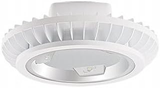 RAB Lighting BAYLED104W 104W High Bay BAYLED, White