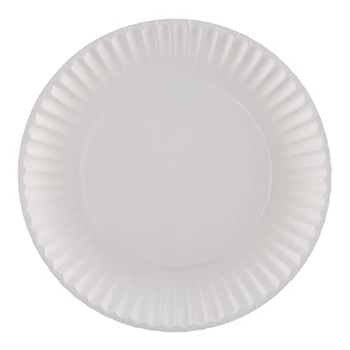 Georgia-Pacific 9 in / 9 inch / White Plates