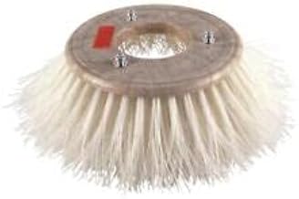 842913PB Broom for Malish Brush