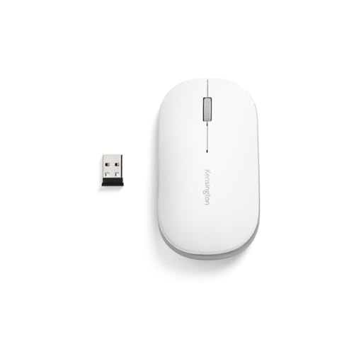Kensington White / Modern / 1 Mice