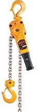 LB Lever Hoist - 15 Ft. Lift, 2 Ton