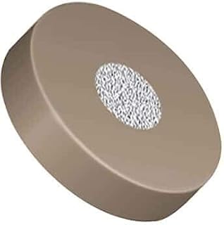 TPI MicroFilter Frit, PEEK, 2 µm, 0.062 (in) OD, 0.25 (in) OD PCTFE Ring, 0.7 µL; 1/EA