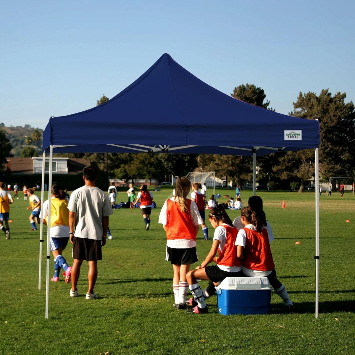 Caravan Canopy Polyester Canopy, 12' x 12' - photo 2