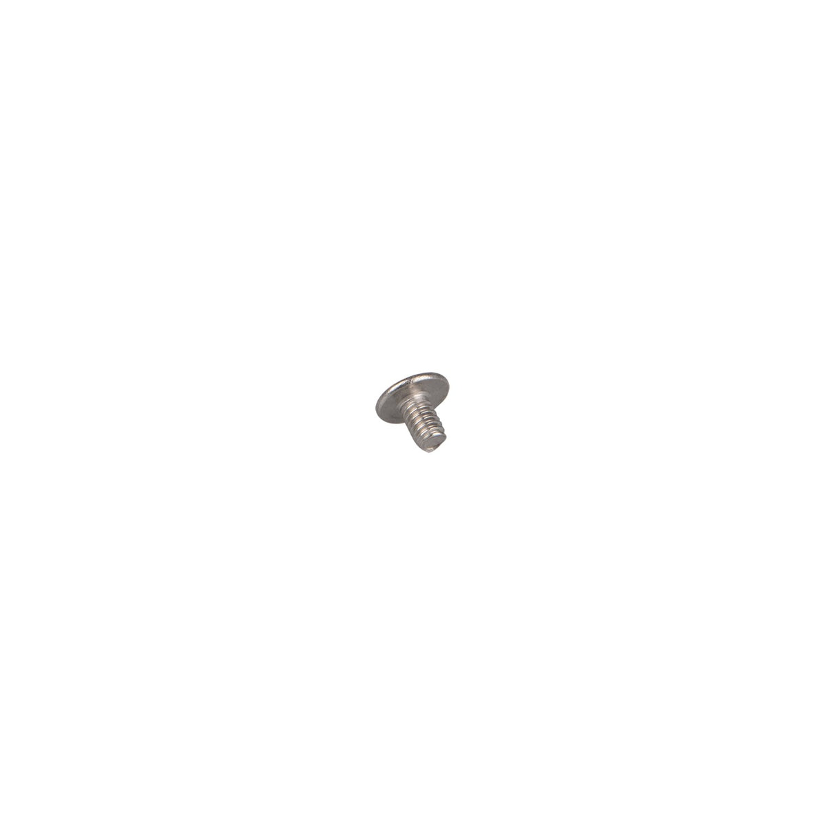 Bunn Screw - photo 2