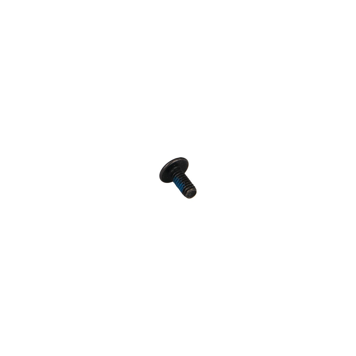Bunn Screw - photo 2