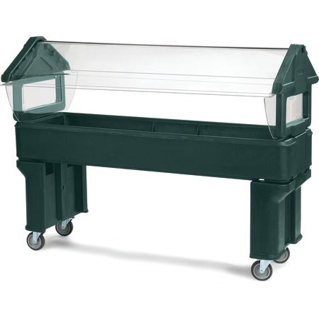 Carlisle Salad Bar, 23 5/8" x 72 1/8" - Green