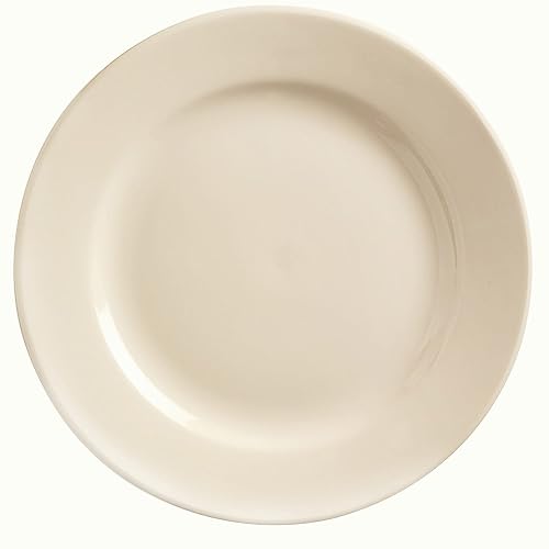 Princess White 9-3/4" Plate - 24 / CS by World Tableware – Large, Stoneware, Ivory, Pack of 24, Model PWC-9