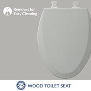Bemis Ice Gray / Elongated / 1-Pack Elongated Toilet Seats