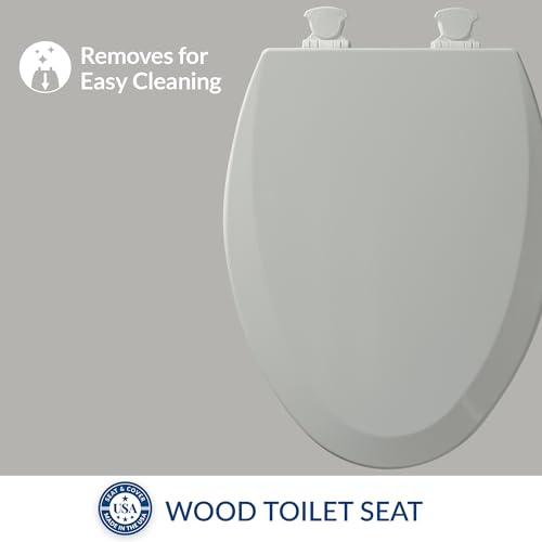 Bemis Ice Gray / Elongated / 1-Pack Elongated Toilet Seats