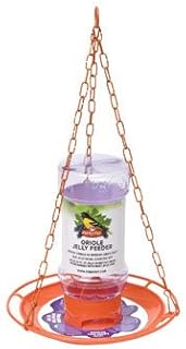 Perky-Pet Oriole 32 oz. Plastic Nectar Feeder 1 Ports