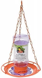 Perky-Pet Oriole 32 oz. Plastic Nectar Feeder 1 ports