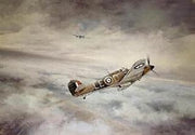 Robert Taylor - First of Many - Douglas Bader Tribute