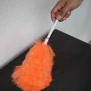 Ettore Pack of 1 / Assorted / 1 Feather Dusters