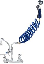 T&S Brass, PG-8WSAN-10, 4.12 GPM Wall Mounted Pet Grooming Station with Angled Spray Valve - Includes 10" Add-On Faucet, 108" Coiled Hose, and Wall Hook, Blue