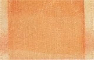 39mm Berwick Offray Arabesque Ribbon Peach - per metre