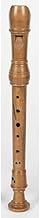 Aura Sopranino Advanced Conservatorium Pearwood Recorder - BN7