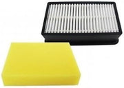 Bissell Clean View Filter Kit # 1008