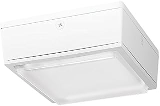 RAB Lighting RAB LED Canopy Light w/ Drop Lens - 52 Watts, 5000K, 120-277 Volts (White)