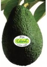 Calavo Chunky Avocado Pulp, 3 Pound -- 4 per case.