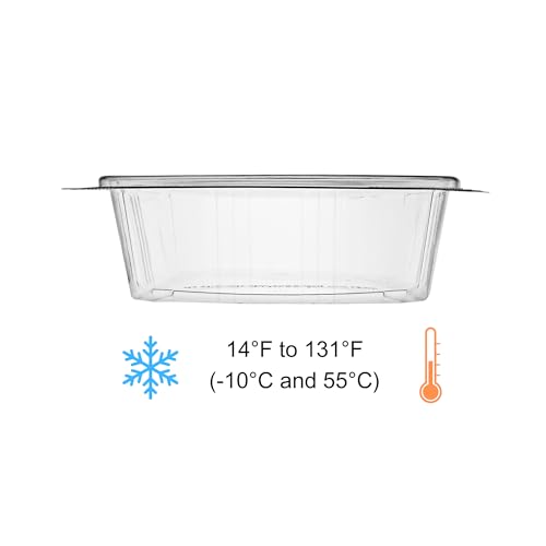 KODA CUP 48oz / Clear / 48.0 fluid_ounces Clamshell Take Out Containers