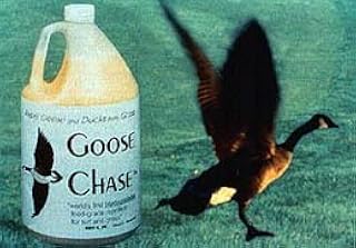 Bird-X 1 Gal Repellent Goose Chase