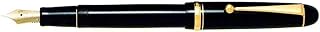 Pilot Custom 74 EF nib
