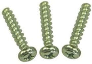 ProTeam Screw, Phillips, 4mm x 19mm for Powerhead #PT-104495