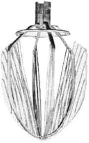 Hobart CWHIP-HL20 20 qt tinned C wing whip