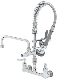 T&S Brass MPZ-8WLV-08-CR Mini-PRU Wall Mount with B-0107, Vacuum Breaker, 8" ADF Nozzle and CERAMA, 8"