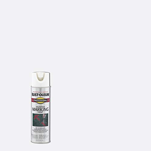 Rust-Oleum 15 Fl Oz (Pack of 1) / White / 1 Spray Paint