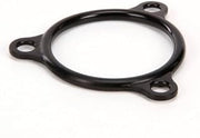 Replacement for Champion - for Moyer Diebel Seal, Electric Heater Flange 109985 Equipment