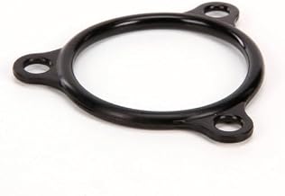 Replacement for Champion - for Moyer Diebel Seal, Electric Heater Flange 109985 Equipment