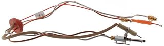 Rheem SP13884H Water Heater Inner Door Gasket/Pilot Assembly Kit - Natural Gas