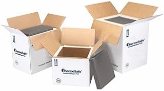 Thermosafe Insulated Shipper, 2 (in) Wall, Extra large