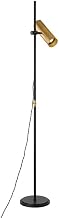 Troy Lighting PFL9665-PBR/SBK Quinn Floor Lamp, 1-Light 15 Watts, Patina Brass