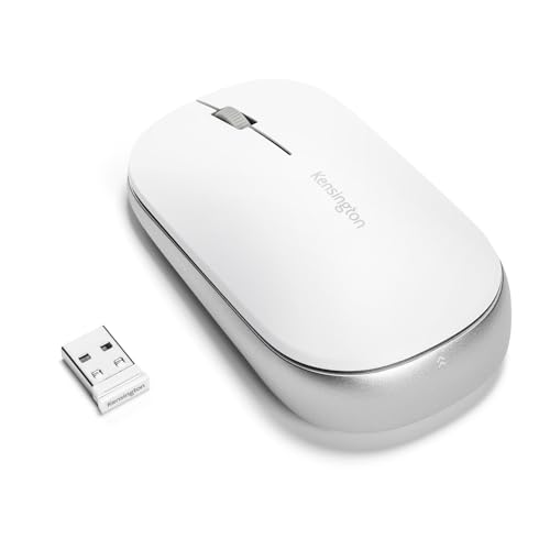 Kensington White / Modern / 1 Mice