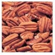 Bakers Select Pecan Halves Fancy, 5 Pound -- 1 Case