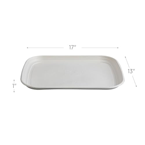 ECO PRODUCTS 13"x17" / White / Modern Plates
