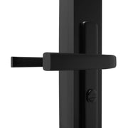 vidaXL Black and Transparent / 76 x 201.5 cm / Modern Sliding & Pocket Doors