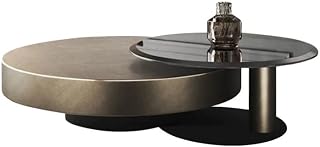 Mesa para Centro De Sala Stainless Steel Size Round Coffee Table Set Designer Minimalist Small Household Living Room Coffee Table Coffee Table(100x100x32cm)