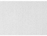 USG Clean Room ClimaPlus Ceiling Panels, Mineral Fiber, White, 24" x 24"